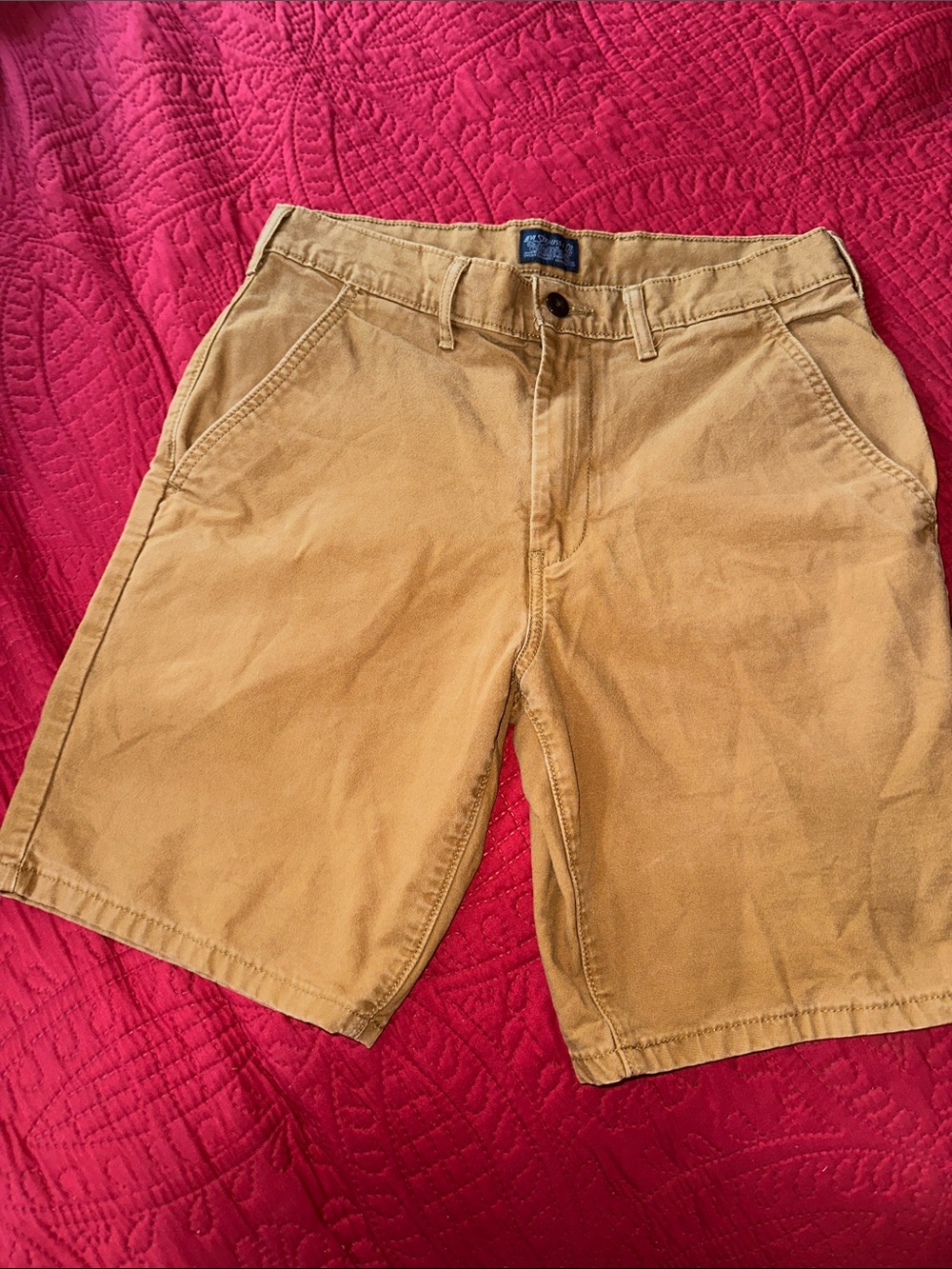 Men's canvas Levi’s  Shorts size 31